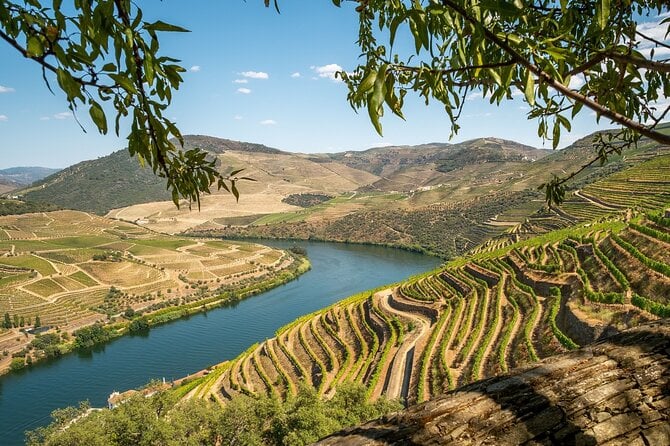 wine tours of portugal