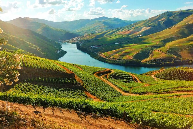 best wine tours in portugal