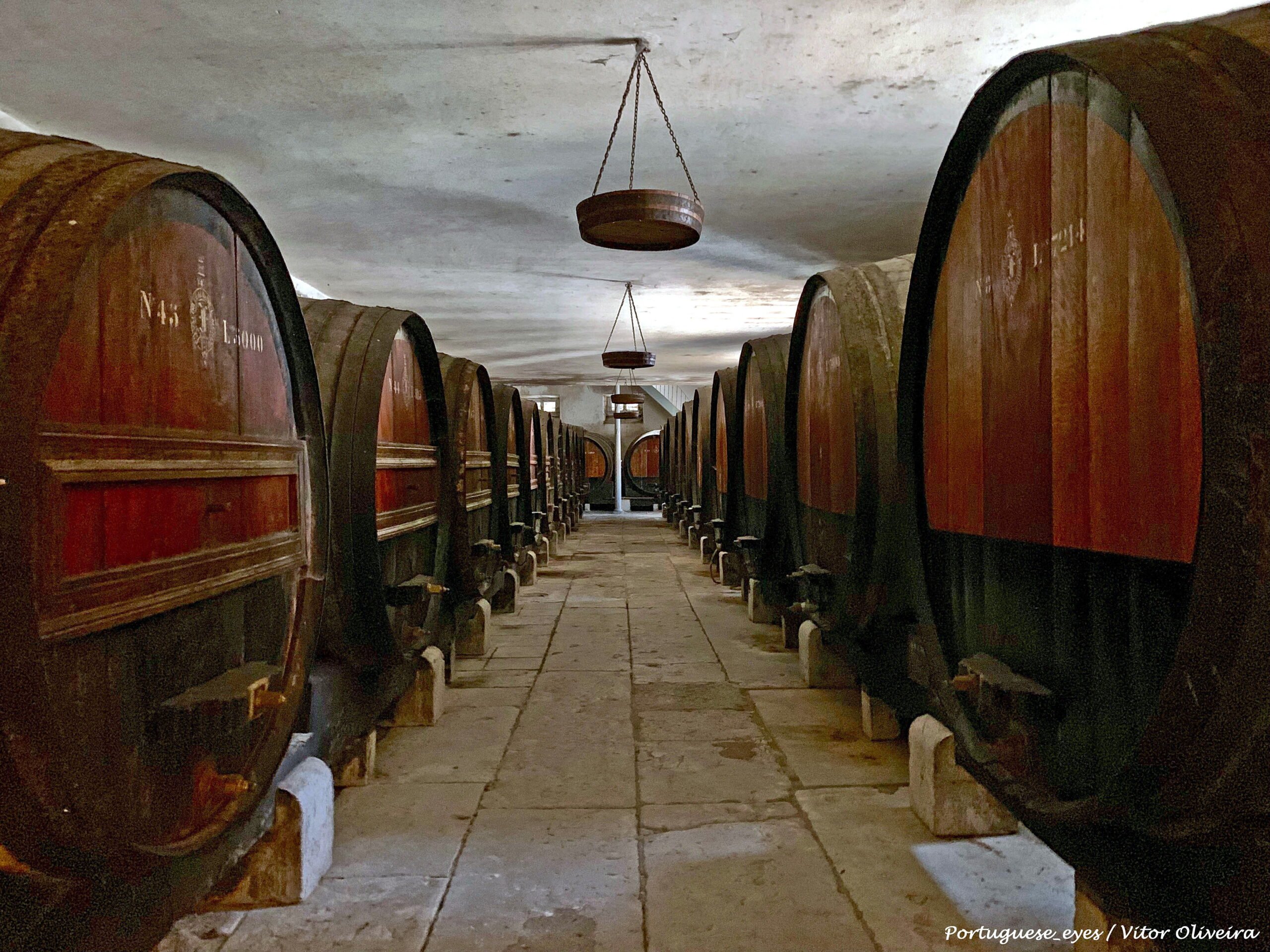 7 Best Wineries In The Setúbal Peninsula 1879